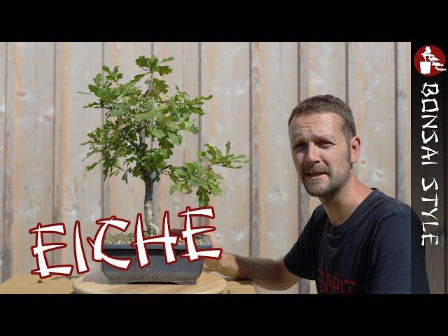 Meine Eiche von Josef Bruns | #096 Bonsai Style