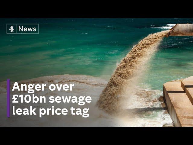 Water companies ‘sorry’ but will public pay for sewage leaks?