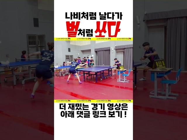 나비처럼 날아서 벌처럼 쏘다