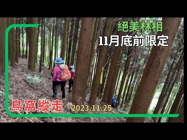 五峰鳥嘴山-大窩山(鳥窩縱走)2023.11.25