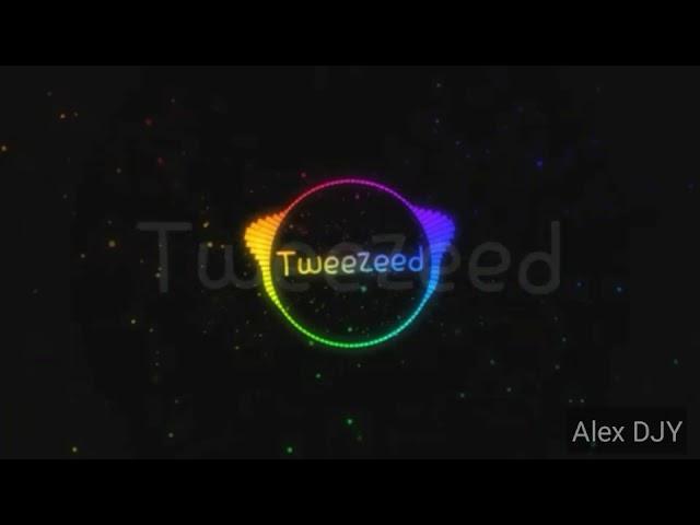 Tweezeed - Alan Walker (video - Alex DJY)