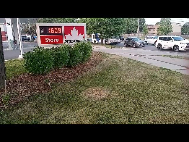 BUS MEET! Oakville Transit New Flyer D40LFR 2008 (8105) Nova Bus LFS 2019 (1904) Filmed June 7th