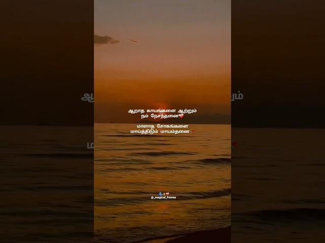 Neela Vaanam Song Lyrics | WhatsApp Status Tamil | Tamil Lyrics Song | Manmadhan Ambu
