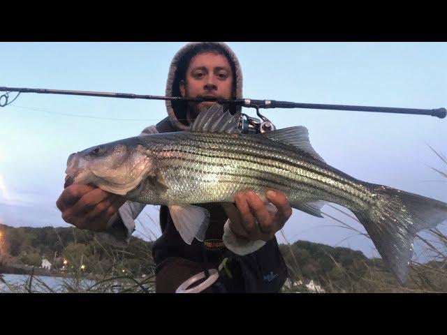 Fall Run SURF FISHING in Mid-October: Long Island