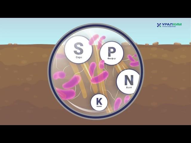Биомодифицированное удобрение МультиСтарт от Группы "Уралхим"