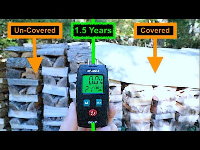 Should you tarp your Firewood? 🪵| 1.5 Year Test Results 