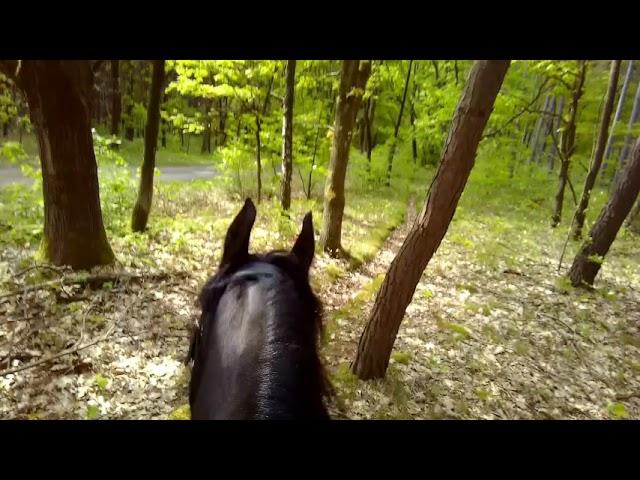 14 mei 2019 Brunssummerheide 1