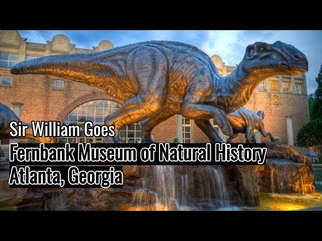 Sir William Goes to Fernbank Museum of Natural History | Atlanta, Georgia