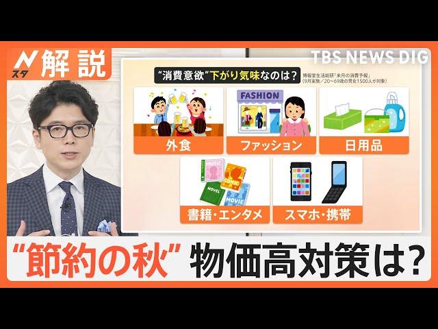 節約のプロに聞く！秋服は“流行追わない” 忙しい年末までにサブスク、料金プランなど“固定費見直し”を【Nスタ解説】｜TBS NEWS DIG