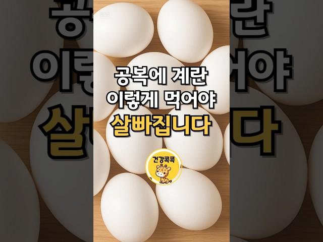 공복에 계란, 이렇게 먹어야 살 빠집니다 그냥 드시면 손해입니다 #건강 #건강정보 #건강관리
