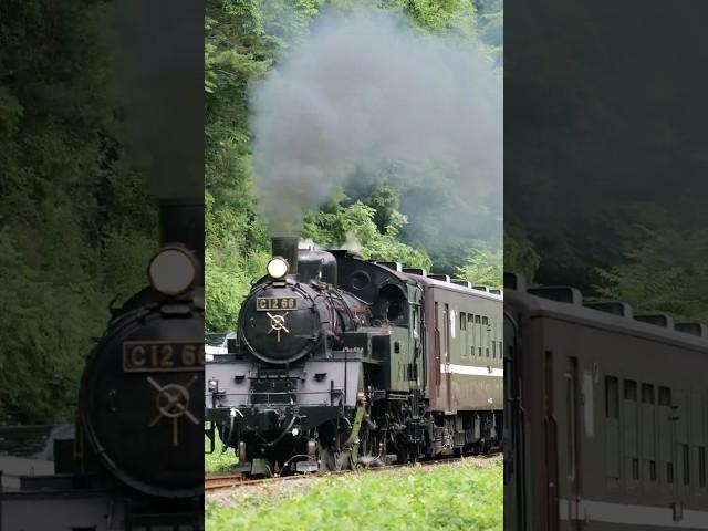 【4K縦動画】真岡鉄道 C12-66「SLもおか」 感動体験列車（道の駅もてぎ）[Moka railway] Steam locomotive C12 "SL Moka" 2024.6.7