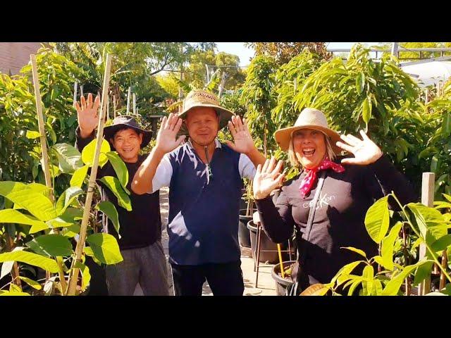 Revisiting Melbourne's Best Tropical Fruit Tree Nursery