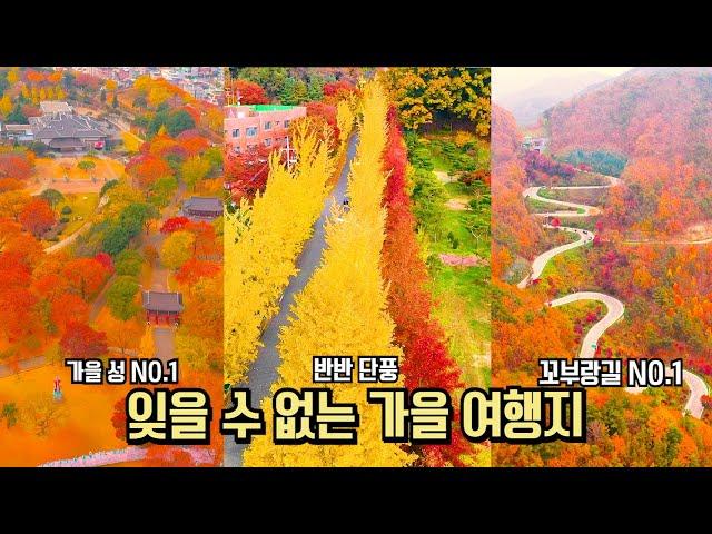 10월 단풍 은행 추천 국내 여행 잊을 수 없는 가을 여행 추천 BEST #국내여행 #여행추천