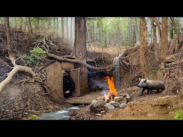 Building a Secret Shelter in the Roots of a Large Tree. Survival Skills