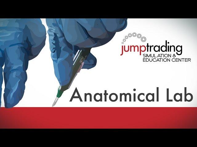 The Anatomical Skills Lab at Jump Simulation