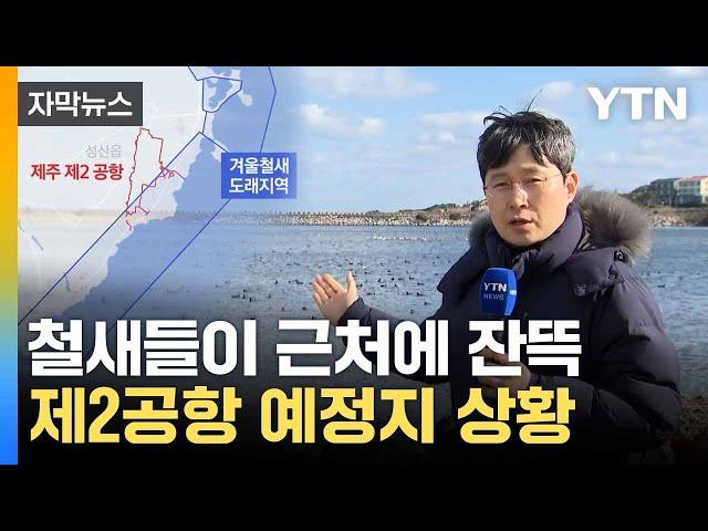 [자막뉴스] '조류 충돌 위험' 우려에도... 제주 제2공항 '도마 위' / YTN