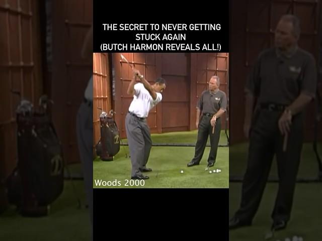 Tiger Woods 2000 - Golf Swing Tips - Butch Harmon #golf #tigerwoods