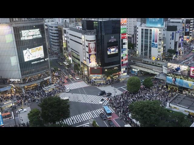 Shibuya Crossing Timelapse