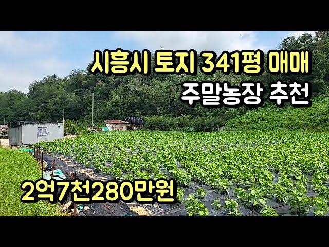 시흥시 장현지구 인접 토지(전) 341평 매매 주말농장 추천