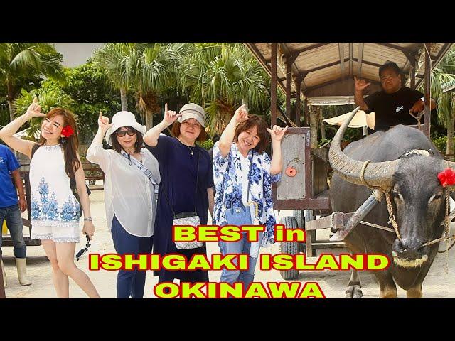 BEST in ISHIGAKI OKINAWA, Don’t miss it!