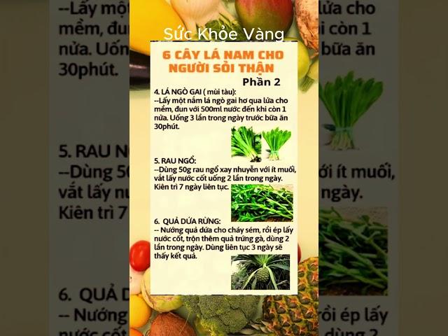 Bí Quyết Giữ Gìn Sức Khỏe Toàn Diện | Sức khỏe vàng #ChămSócSứcKhỏe #BảoVệSứcKhỏe #SốngKhỏeMỗiNgày