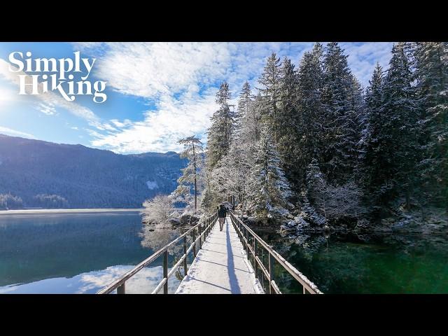 25 Minutes Exploring THE MOST BEAUTIFUL Winter Lake! | Lake Eibsee Virtual Hike Germany