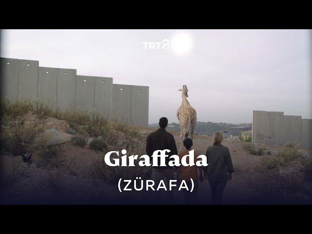 Giraffada (Zürafa) | Fragman