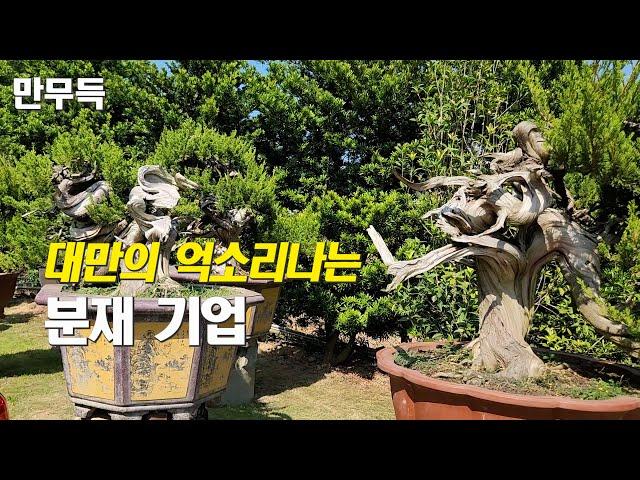 130. 대만의 억소리나는 분재 기업