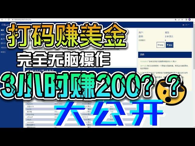 打码赚美金  3小时200美金？？盘他！！