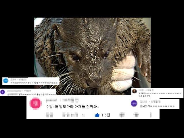 [댓글모음] 부산 아저씨들한테 잡힌 수달에게 생긴 일ㅋㅋ  댓글 모음ㅋㅋㅋCute Otter