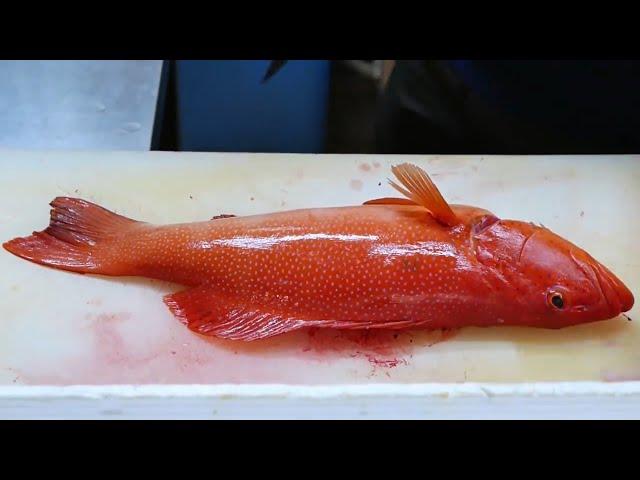 Japanese Food   RED GROUPER Steamed Fish Sashimi Okinawa Seafood Japan