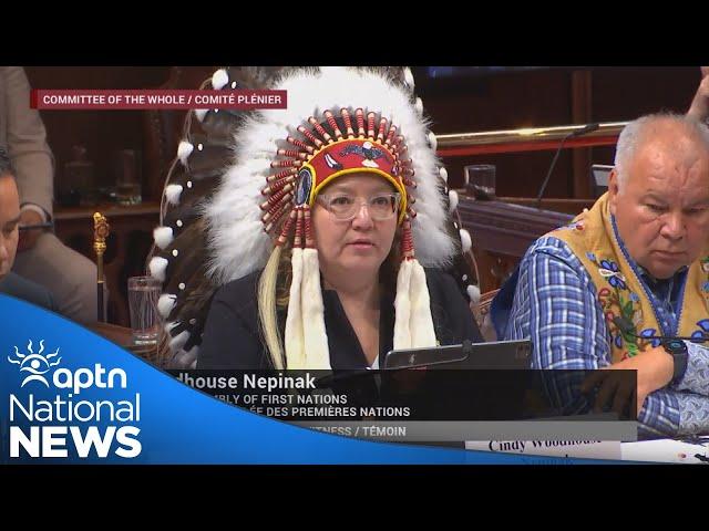 Three Indigenous leaders share their concerns about Bill C-5 at Senate committee | APTN News
