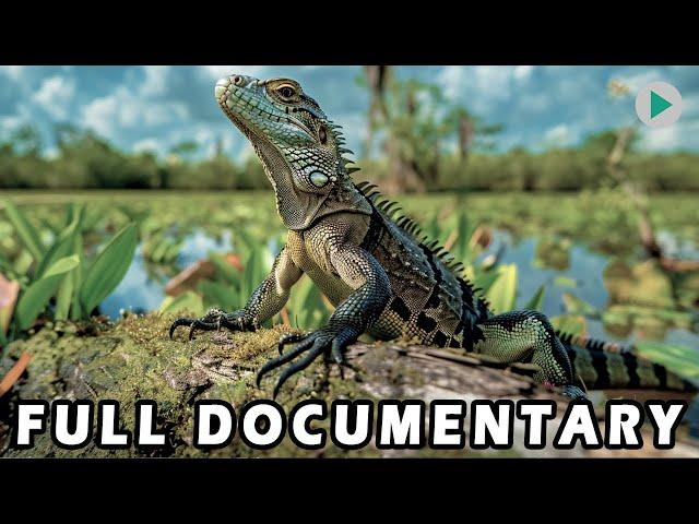 WILD AMERICA: SWAMP CRITTERS  Full Exclusive Documentary Premiere  English HD 2024