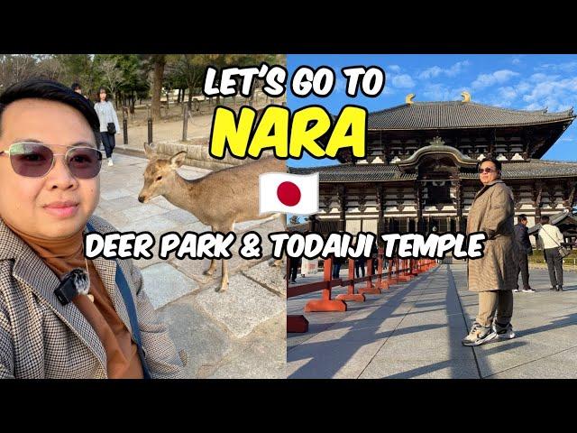 Let's go to Nara Park & Todaiji Temple! + Eating Authentic Tsukemen Ramen  | JM BANQUICIO