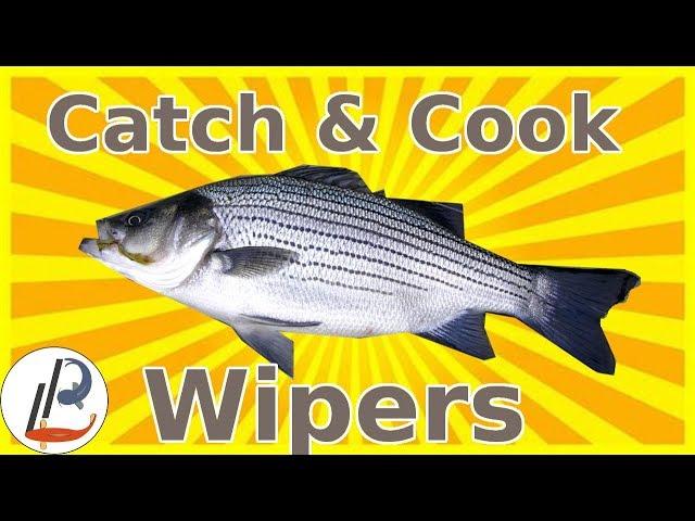 How to Catch and Cook WIPER Bass