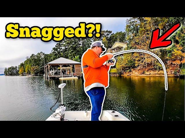 I Thought I Was SNAGGED... Then I Felt It SWIMMING! **Lake Martin**