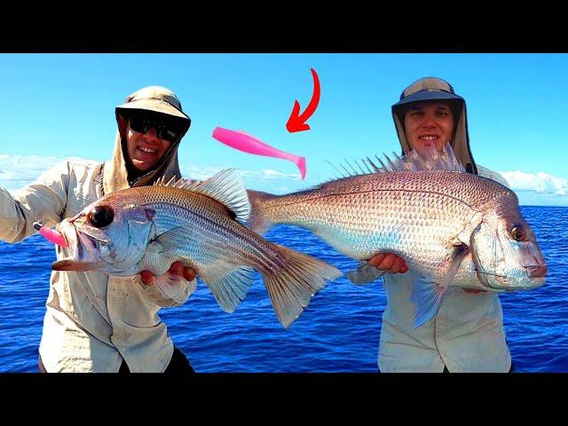 Is this the BEST Snapper Lure EVER? (Insanely hot session!)