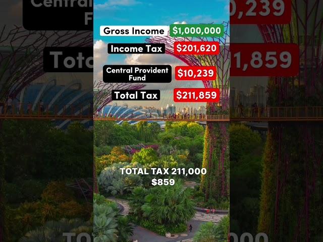 Living on $1,000,000 After Taxes in Singapore #singapore #democrat #republican #salary