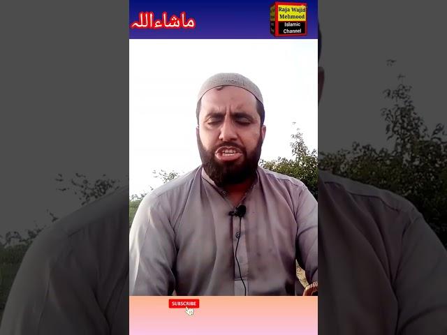 Boot he khubsurat kaleep Safumalook/Qare Hafiz wajid mehmood Best naat