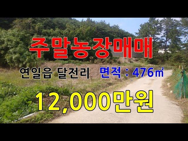 247. 달전리 주말농장매매 지곡동에서가까운 거리의 전매매 전원주택부지 밭매매 주택을 지을 수 있는 토지매매 세컨하우스 부지의 땅매매 연일부동산 포항부동산