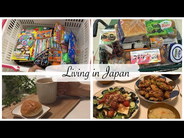 Daiso Shopping Trip, Grocery Shopping in Japan, Miso Butter Chicken for Dinner | Japan Vlog