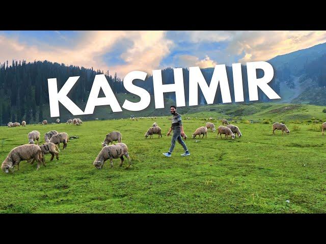 MY JOURNEY TO KASHMIR ️ | MAAZ WEAVER