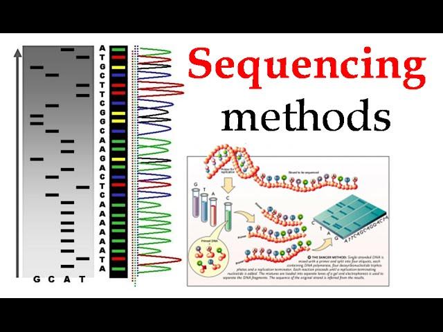 DNA sequencing methods