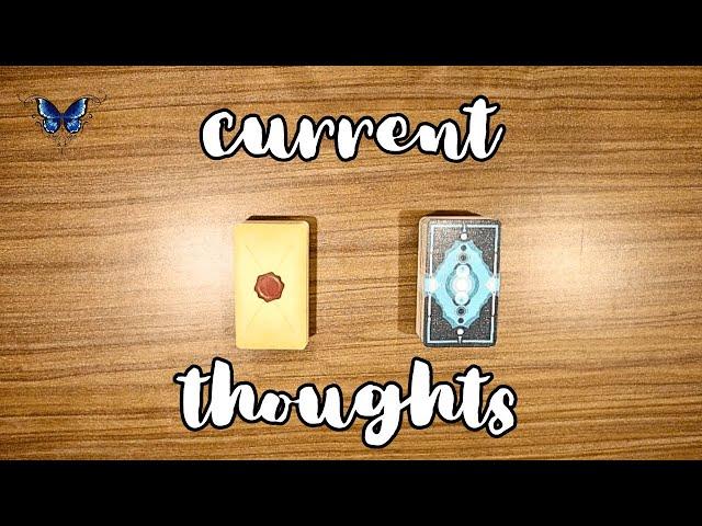  THEIR CURRENT THOUGHTS   Timeless Tarot Reading 