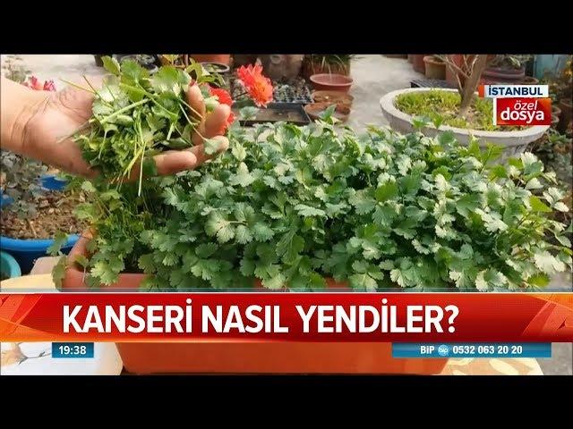 Kanseri nasıl yendiler? - Atv Haber 18 Ekim 2018