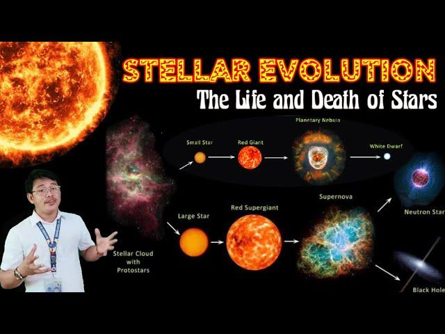 STELLAR EVOLUTION | The Life and Death of Stars | #EvolutionOfStars #StarFormation