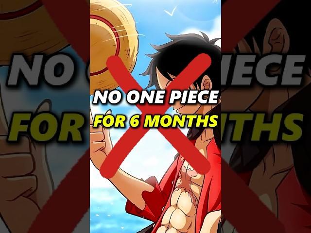 One Piece will stop for six months! #anime #zorovsluffy #luffy #nami #onepiece #zoro