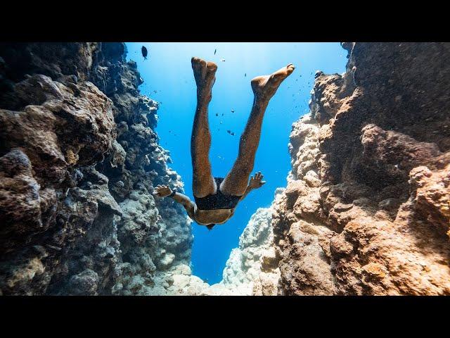 Freediving without Wingsuits - the El Bells Remix