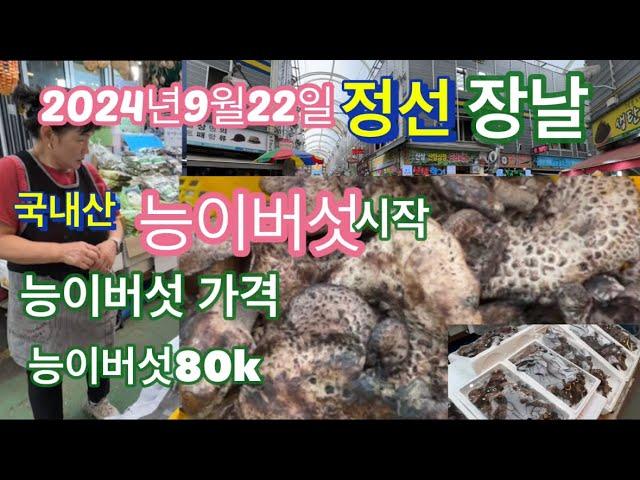 2024년9월22일 정선장날 국내산 (태백산) 능이버섯. 80k 처음 나왔어요. 능이버섯 가격을 물어보았습니다