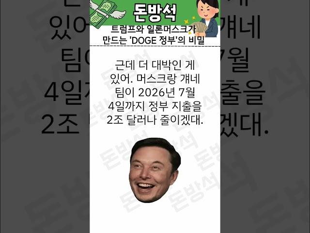 도지코인이 하루만에 20% 폭등?! 트럼프와 일론머스크가 만드는 'DOGE 정부'의 비밀